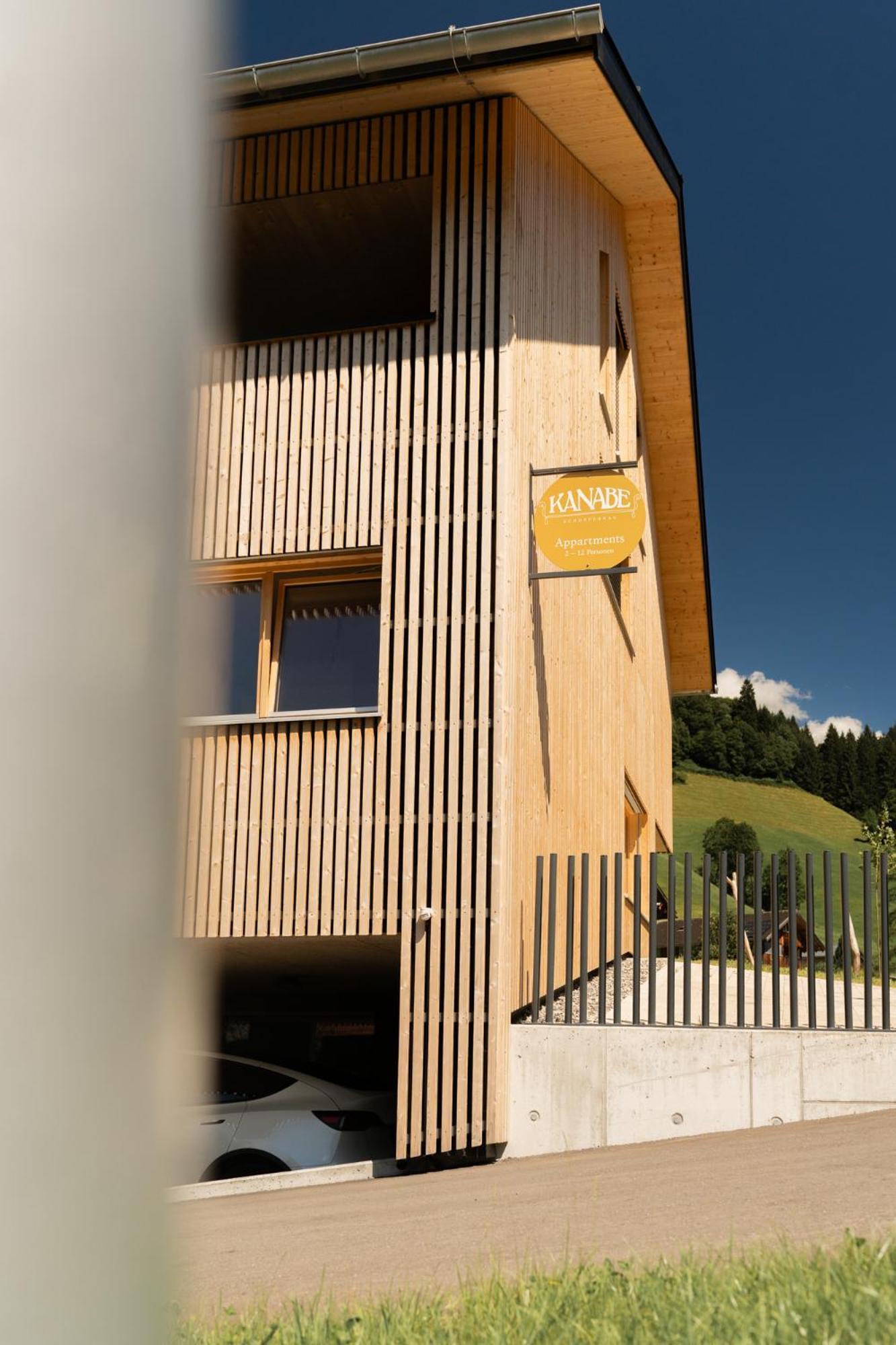 Haus Kanabe Schoppernau Dış mekan fotoğraf